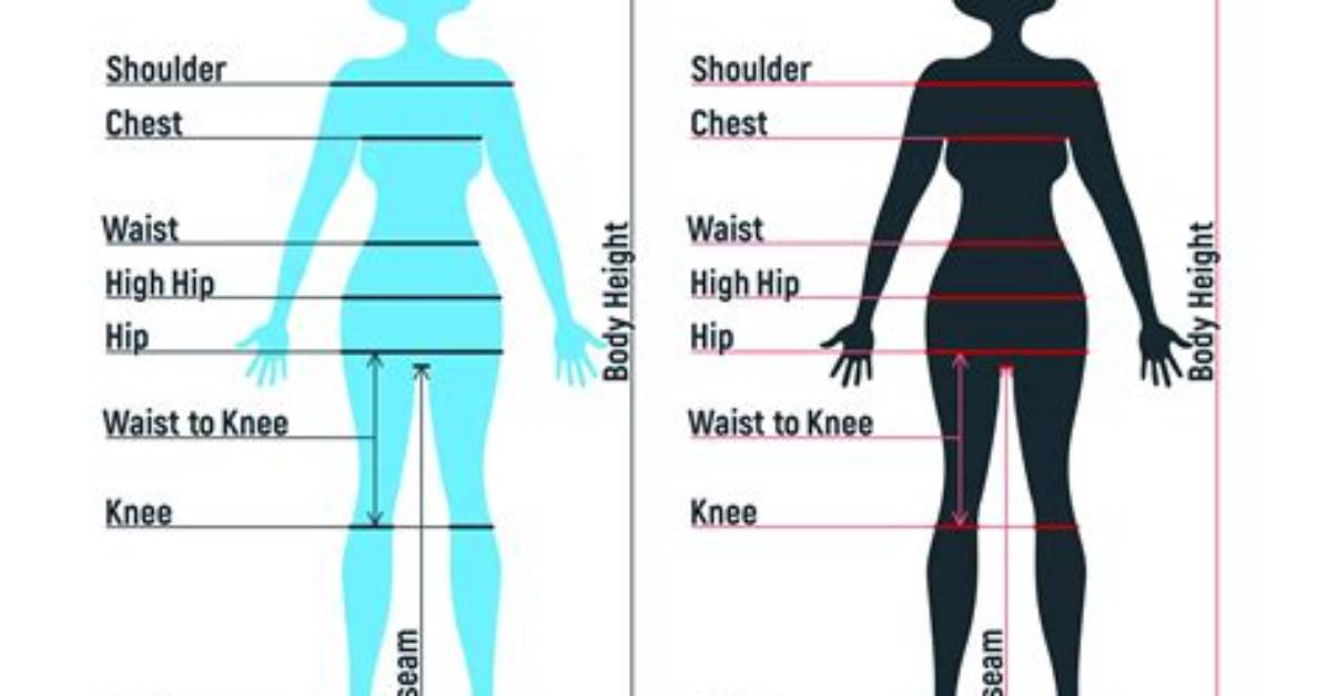 Griffith Height Measurements Guide