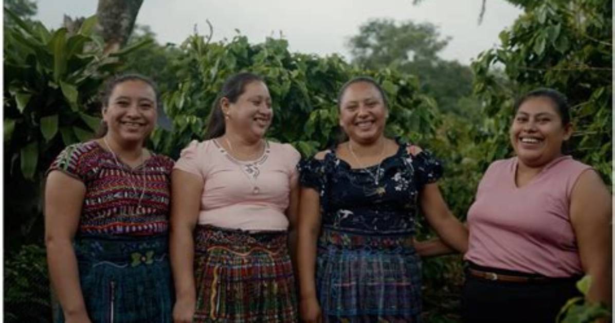 Guatemala S National School Kitchen Initiative Everything You Need To