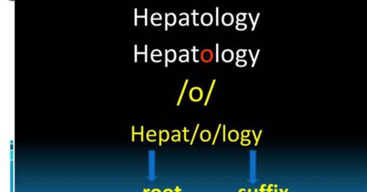 Hepat O Medical Term Explained Fact Checking Common Misconceptions And