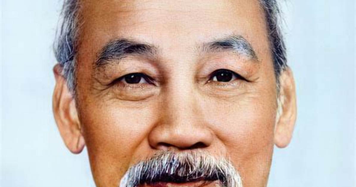 Ho Chi Minh Cat Crisis Fact Check What Really Happened to the 2 700