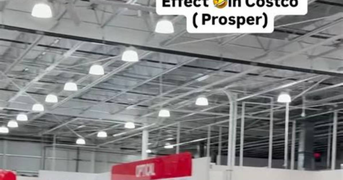 Houston Costco Surge Storm Prep Rapid Expansion and High Demand