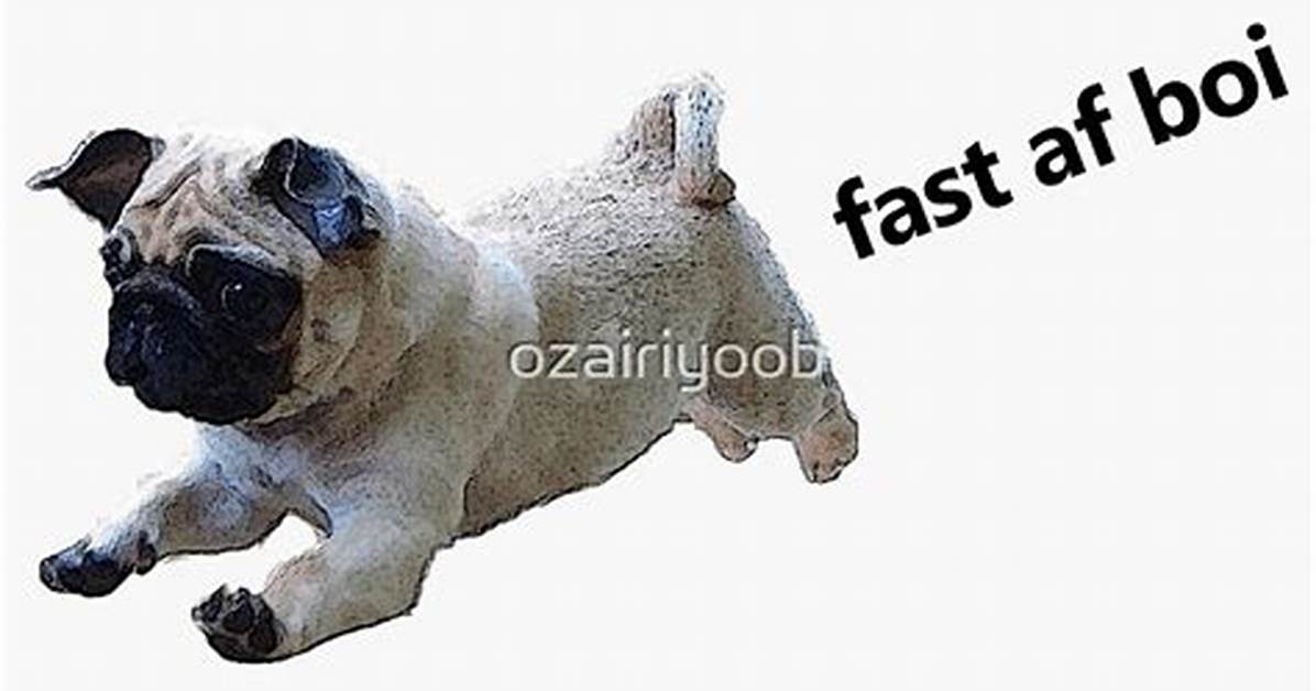 How Fast Af Boi Took over Pop Culture from Meme Audio to Taylor Swift S