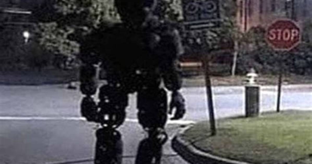 How Nosey the Animatronic Went Viral from Obscure Clip To