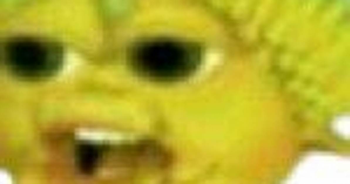 How the Fugu Fish Commodore Meme Took over Web Culture