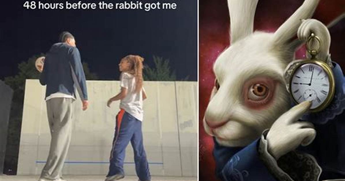 How the Rabbit Got Me Took over Social Media from Niche Tiktoks To