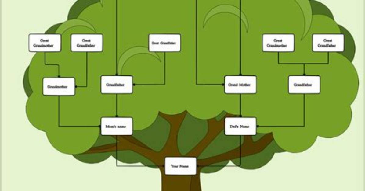 How to Build a Family Tree En Espanol Step by Step Guide To