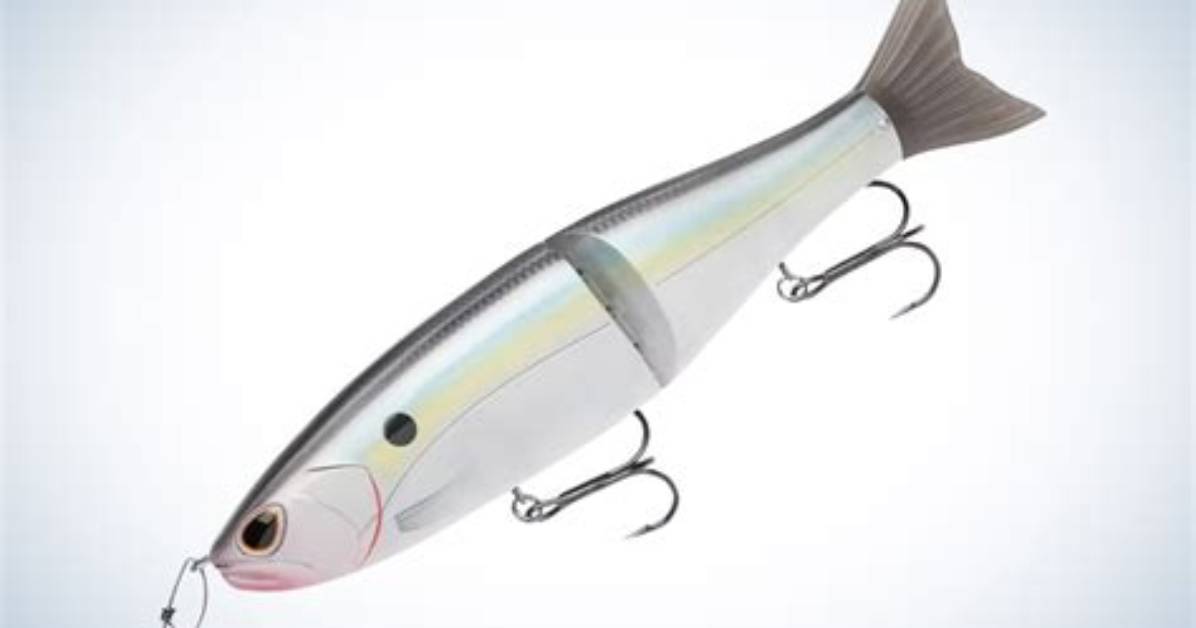 How to Fish the Rex Glide Bait Complete Rod Reel And