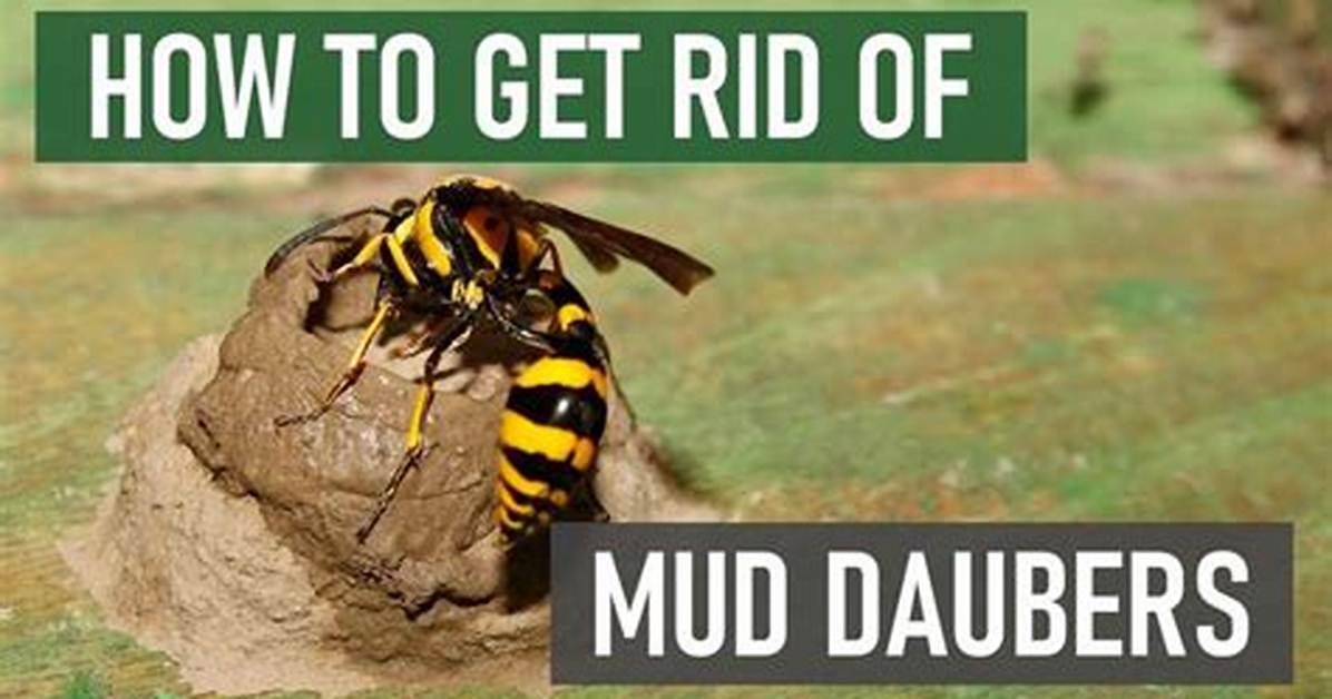 How to Get Rid of Mud in Gothic 1 Remake Complete Step By