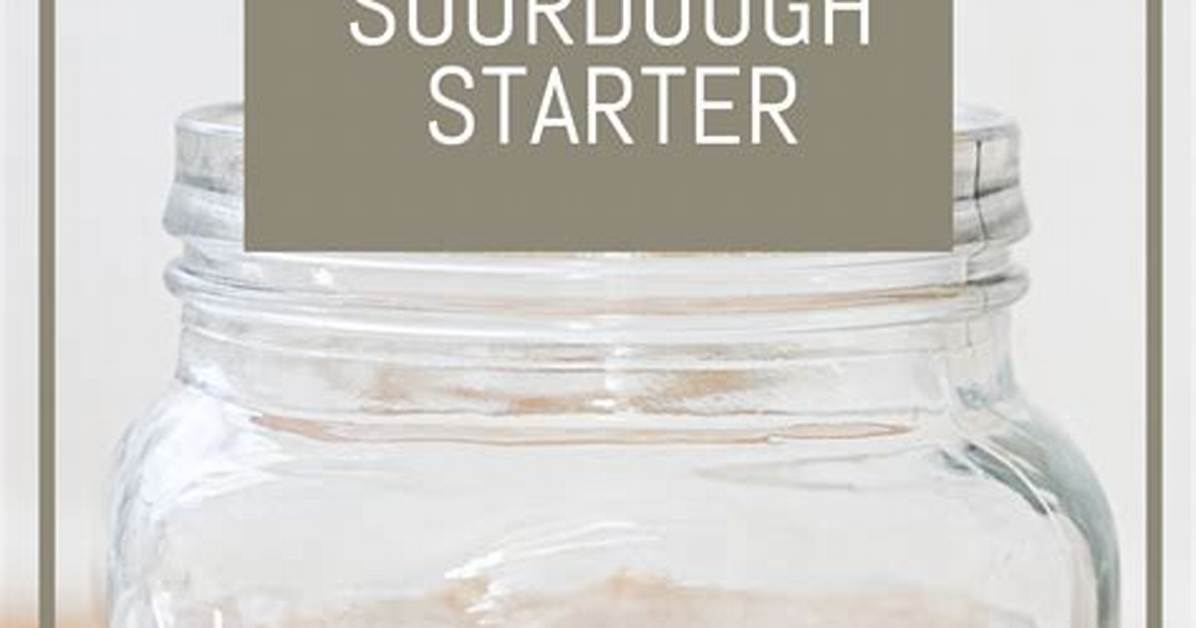 How to Make a Sourdough Starter in 5 Days Day by Day Visual