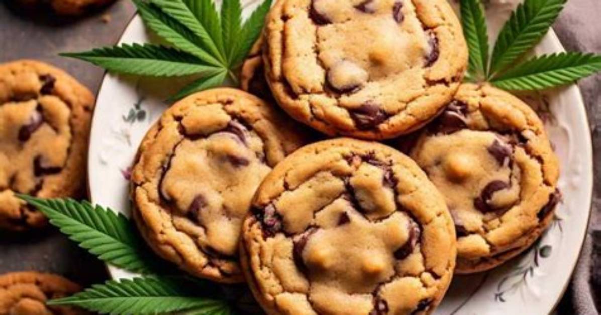 How to Make Ganja Cookies the Ultimate Beginner to Pro Edible