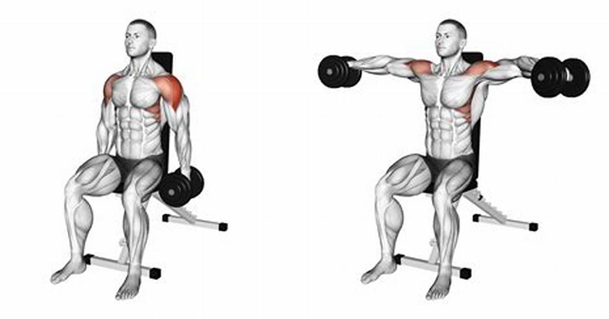 How to Master the Seated Lateral Raise the Complete Dumbbell Guide to 3D