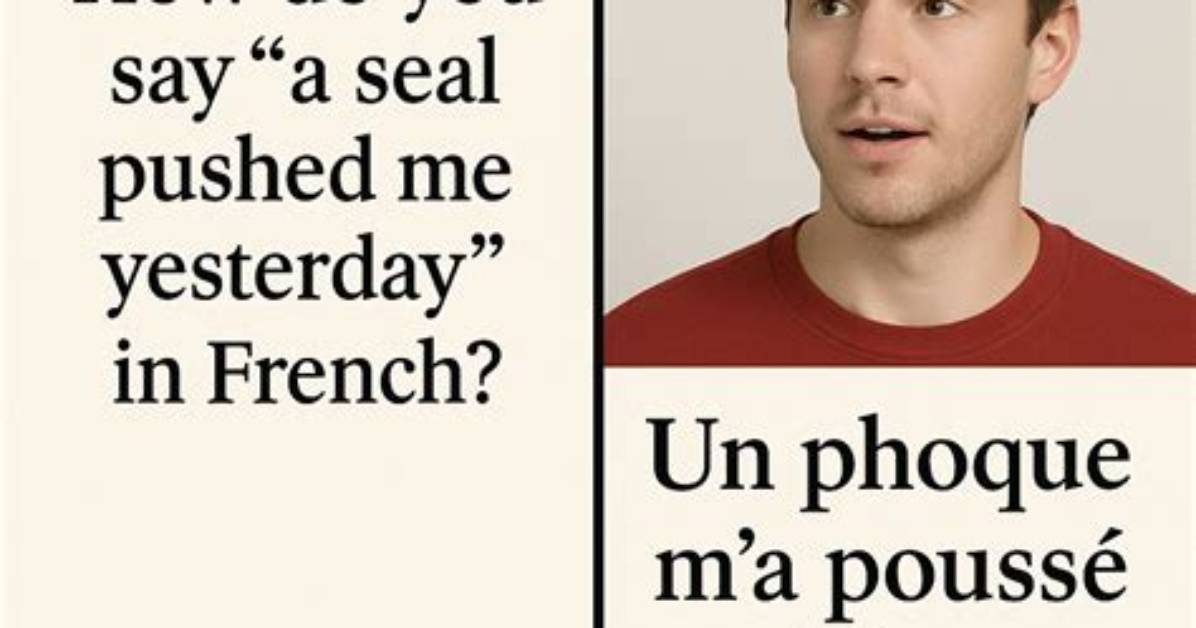 How to Say a Seal Pushed Me in French Pronunciation Grammar And