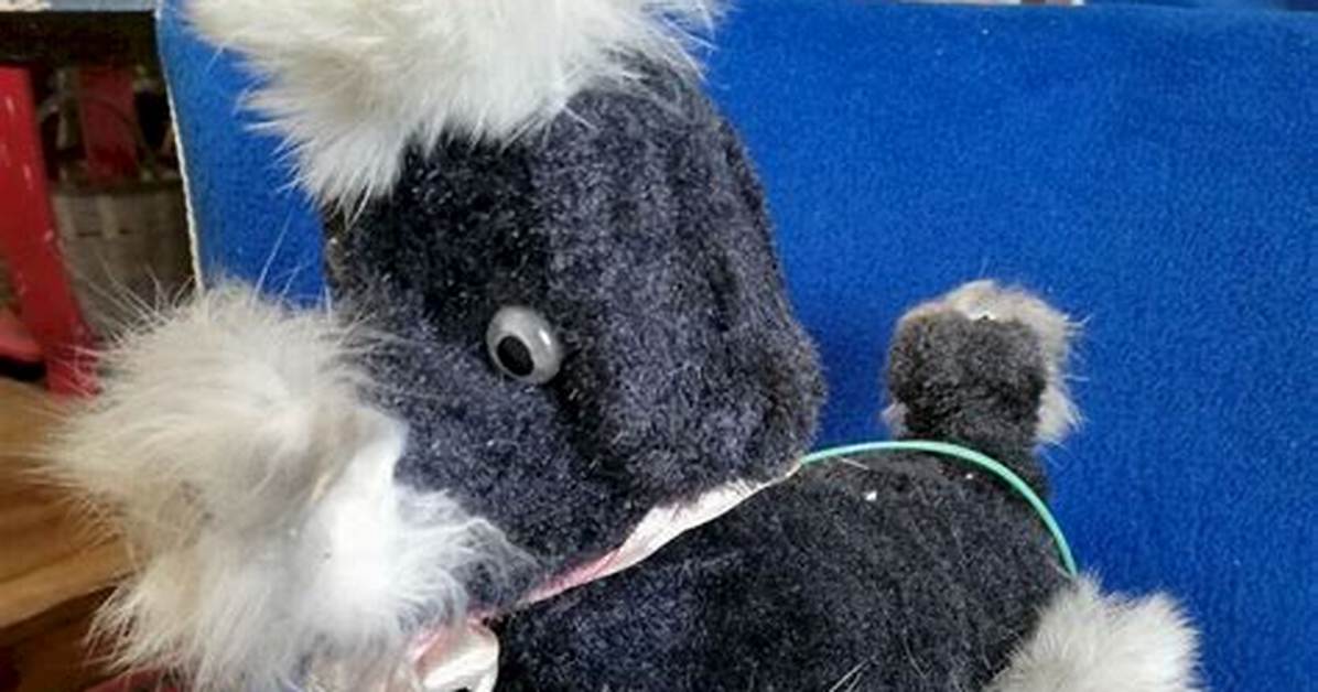 How to Say Peluche in English the Ultimate Bilingual