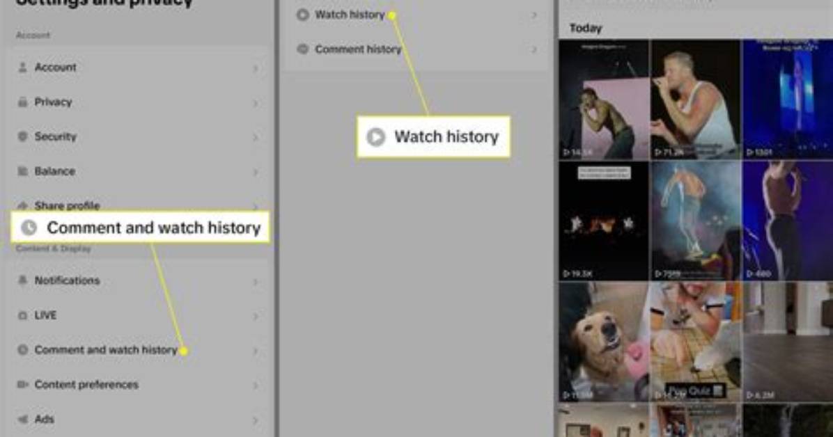 How to See Tiktok Watch History on Pc the Complete