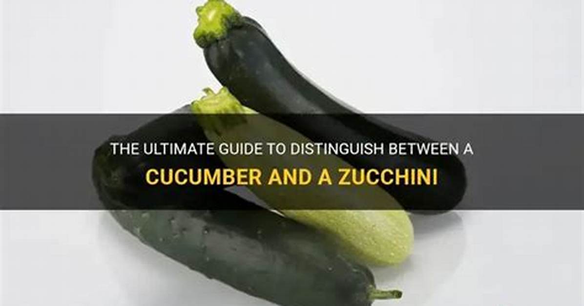How to Tell Zucchini and Cucumber Apart Instantly 5
