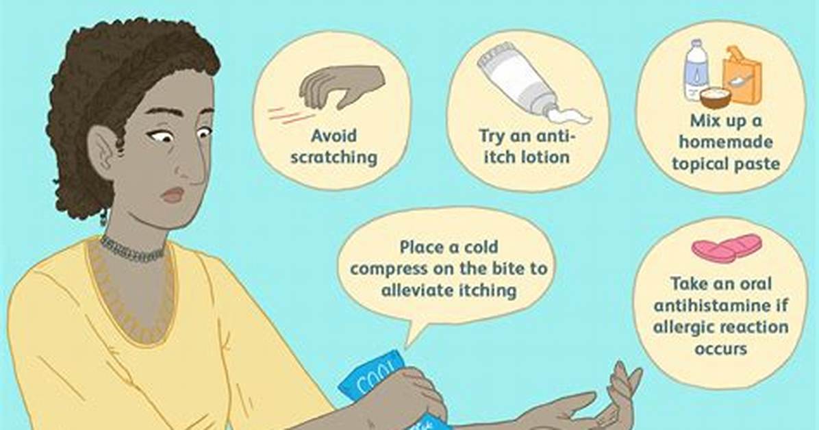 How to Treat a Mosquito Bite on Your Lip Fast Safe Home Remedies And