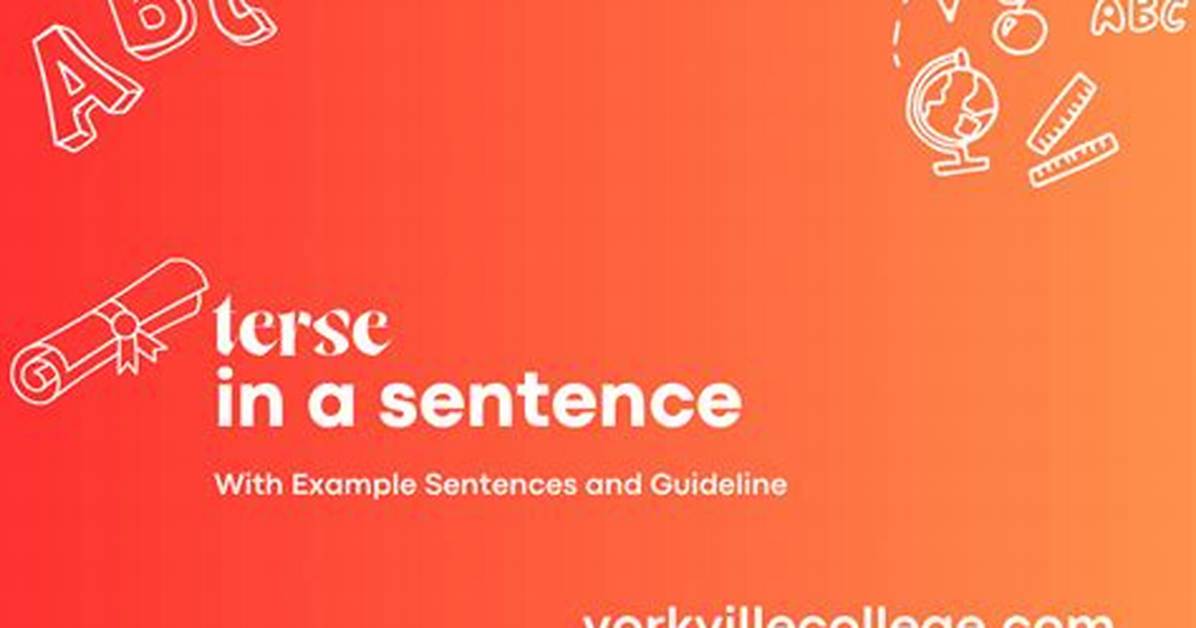 How to Use Terse in A