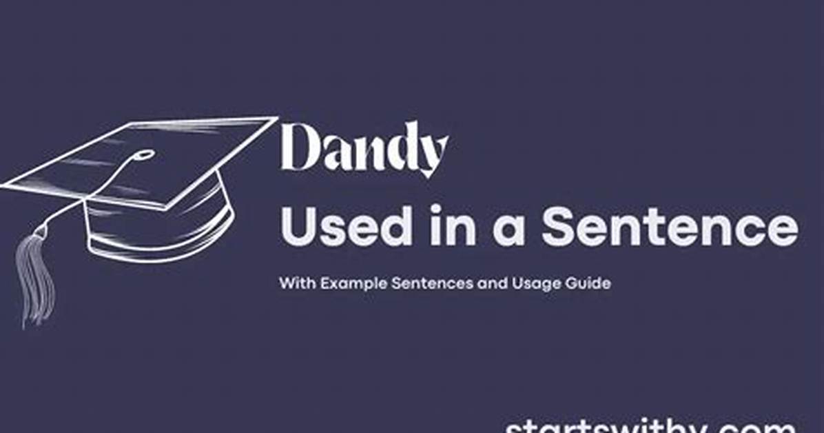 How to Use the Dandy S