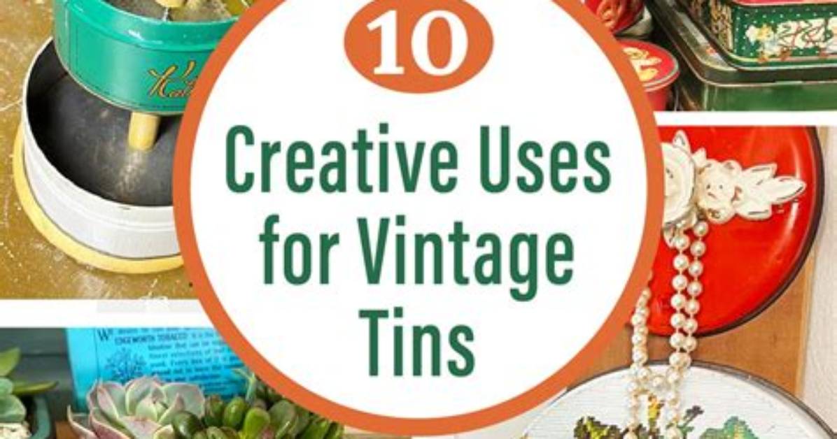 How Vintage Tins Became 2026 S