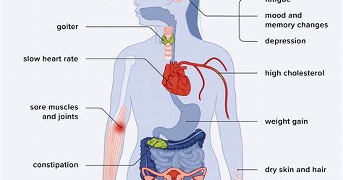 Hypothyroidism and Rust Stains Explained Symptoms Root Causes And