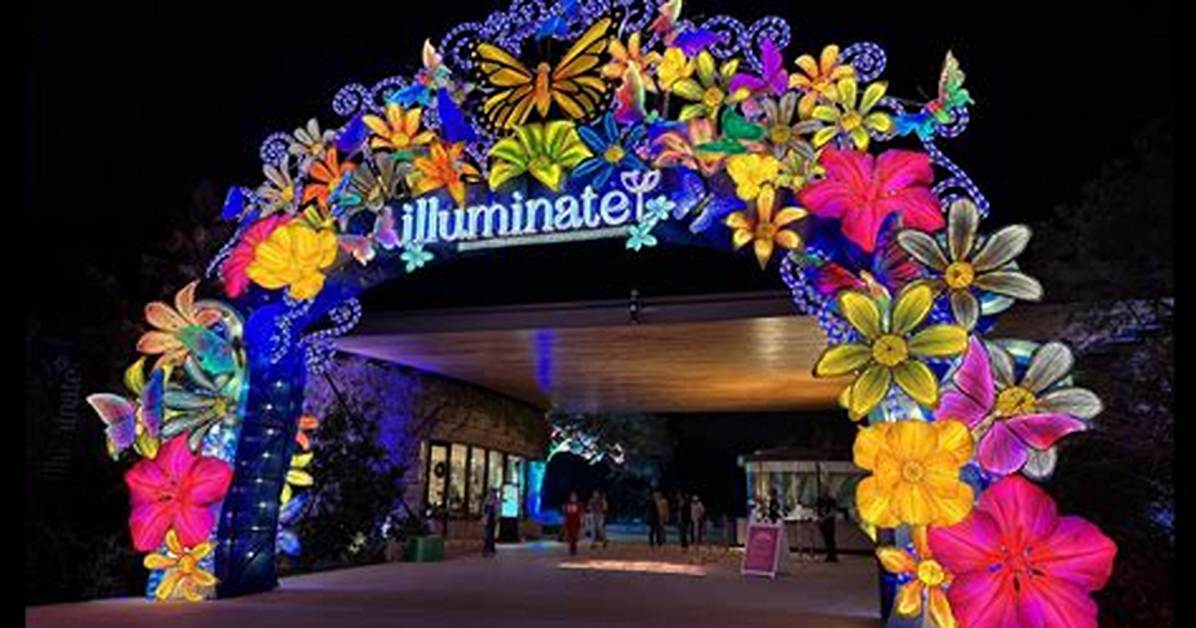 Illuminate Returns to San Antonio Why the Botanical Garden S Winter Show Is Completely Different