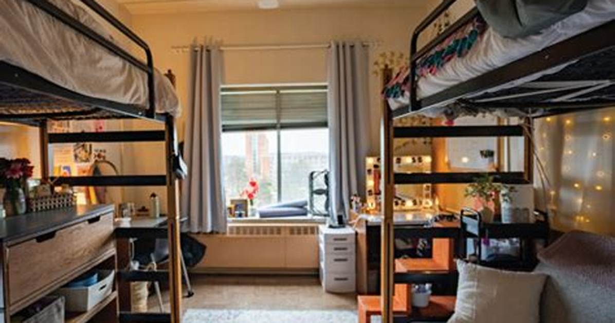 Inside Holden Hall at Michigan State Dorm Tours Room Layouts and What Living There Is