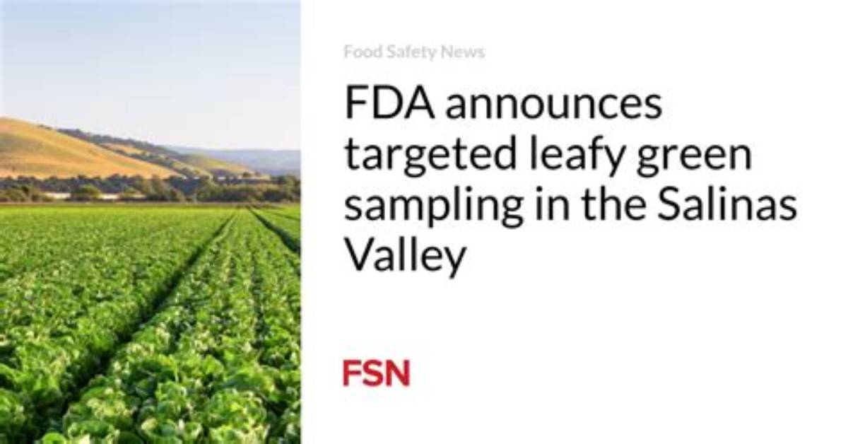 Inside the Fda Investigation Why Leafy Green Outbreaks Keep Hitting