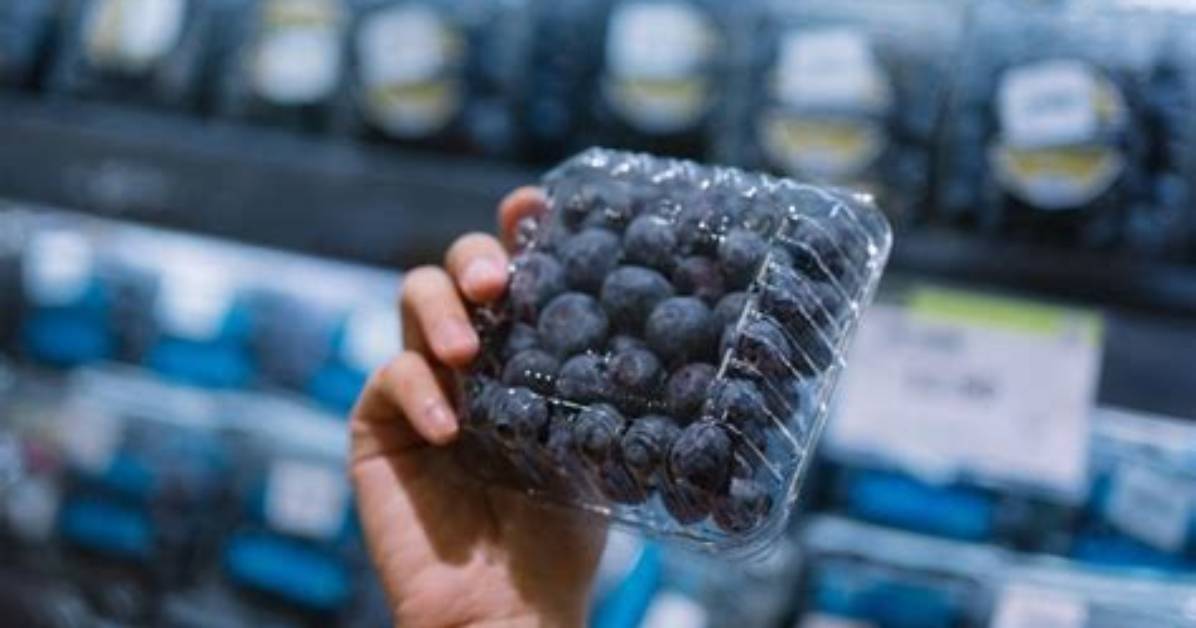 Inside the Fda S Class I Blueberry Recall How Severe Is the Listeria Risk and What
