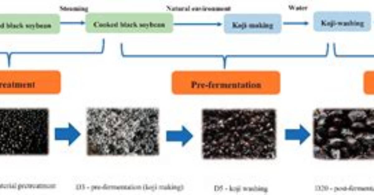 Inside the Fermentation Process What Gives Douchi Its