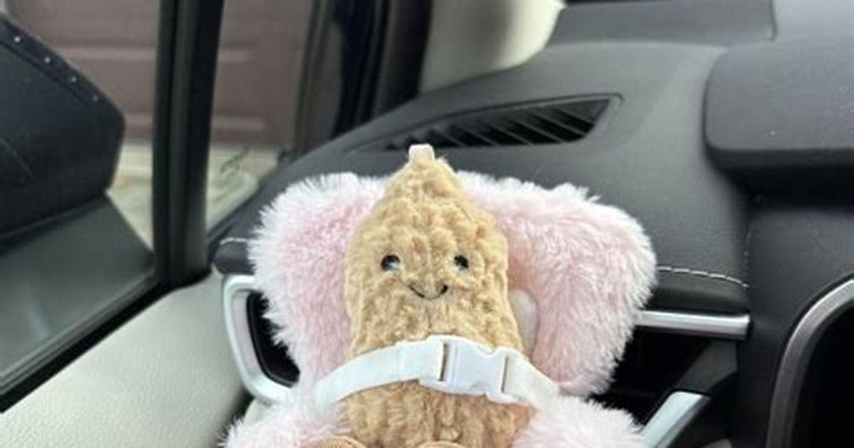 Inside the Jellycat Car Seat Craze What Buyers Are