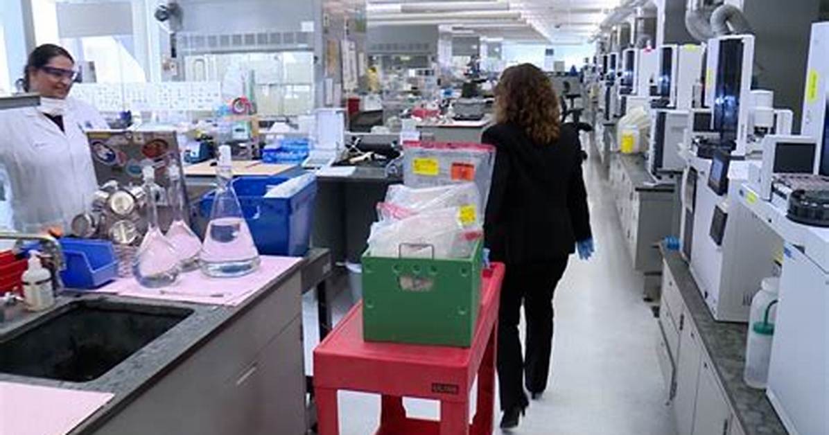 Inside the Lab That Identified Tracey Sue Walker Genetic