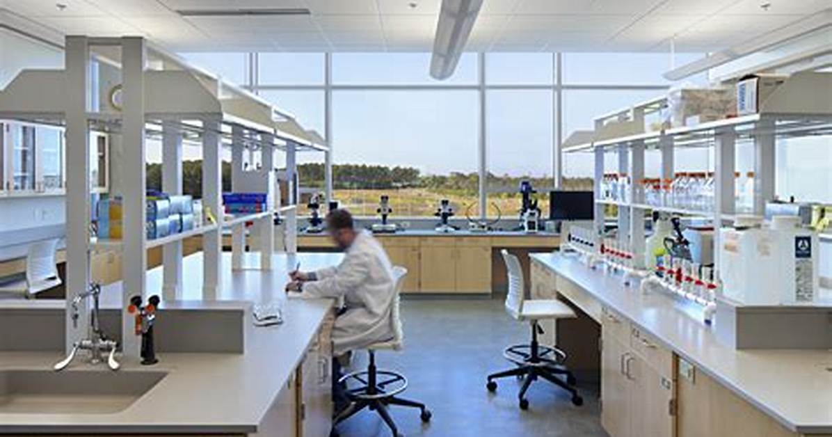 Inside the Lab What Chemical