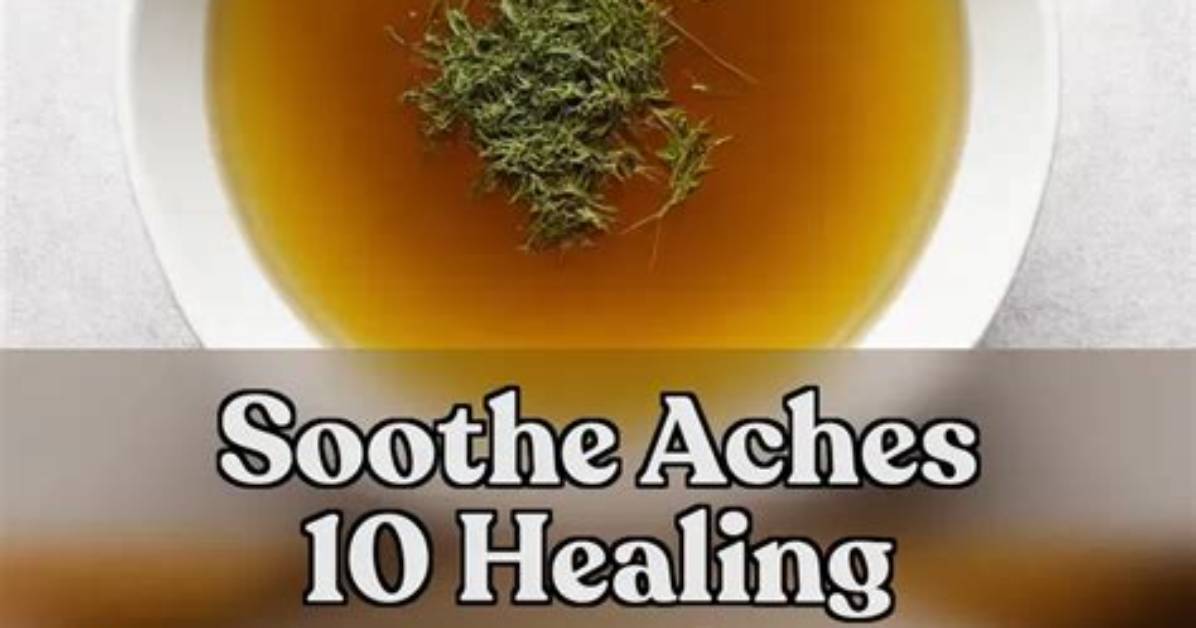 Inside the Secret Broth Fact Checking the Ingredients of Legendary Bun
