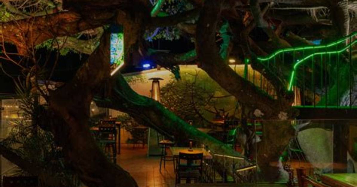 Inside the Secret Tree House Restaurant Serving Margarita Flights Above The