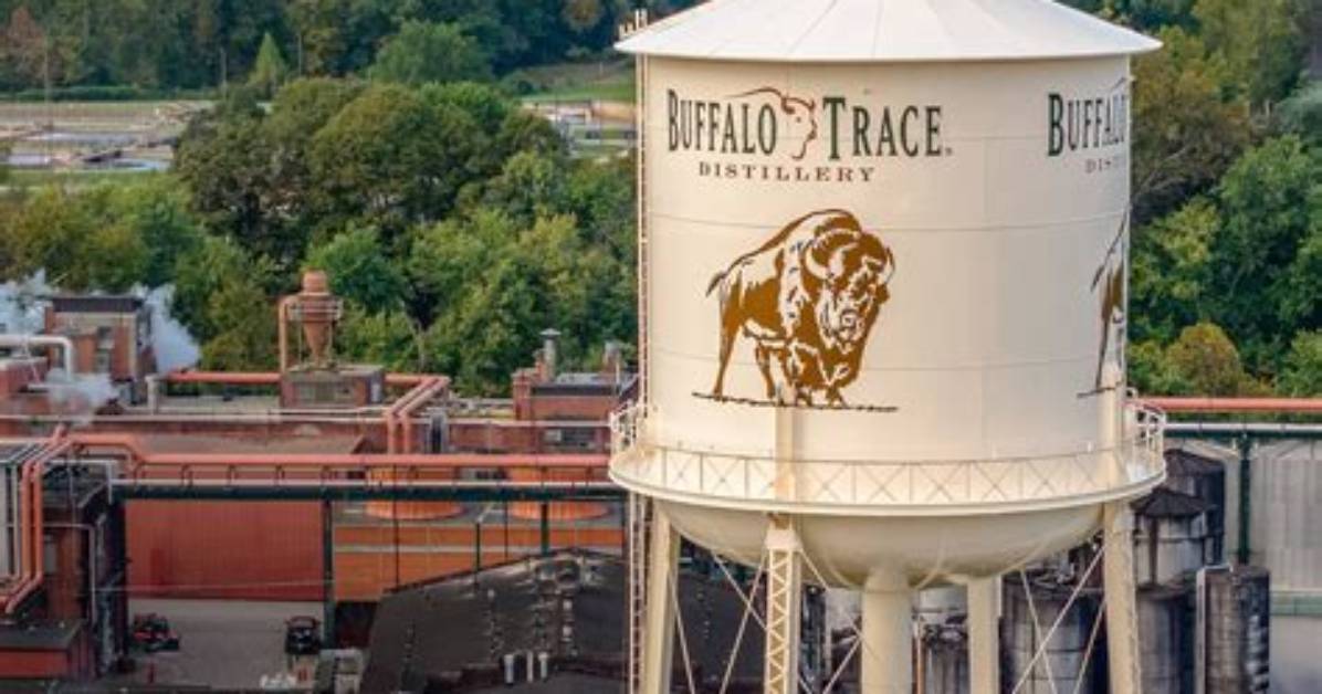 Inside the Tracking Data What Buffalo Trace Drop Patterns Reveal For