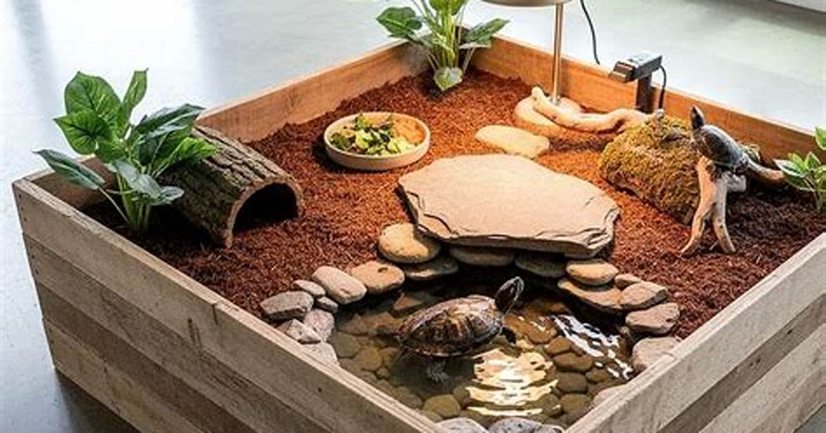 Inside the Ultimate Aquatic Turtle Enclosure Equipment And