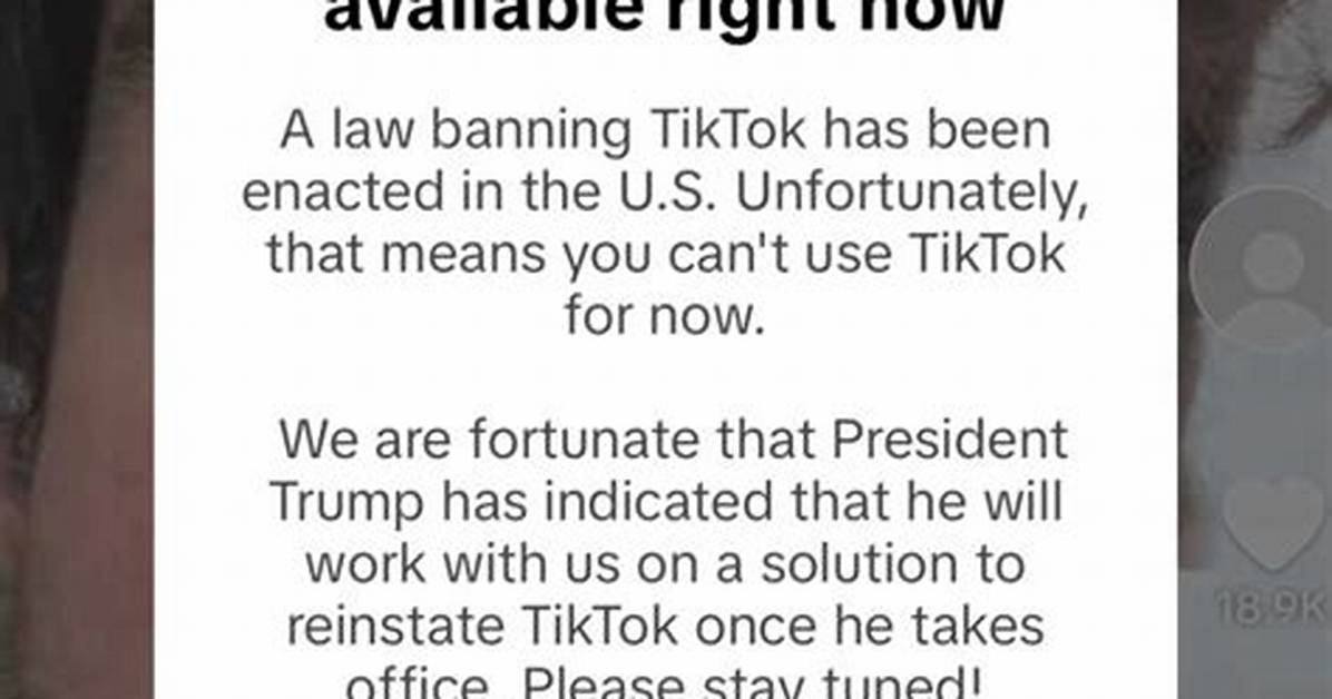 Inside Tiktok S Ad Loophole How Fake Storefronts Scammed Thousands Of