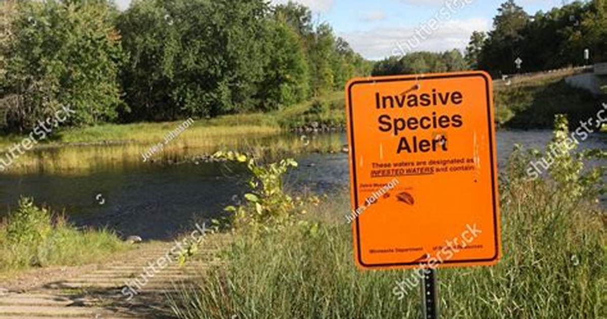 Invasive Species Alert Noaa Tracks Predators Impacting Native