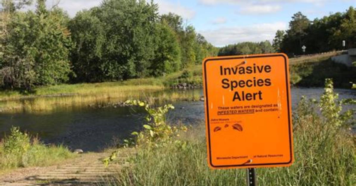 Invasive Species Alert Noaa Tracks Predators