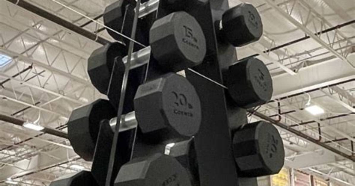 Is Costco S Dumbbell Set with Rack Safe Investigating Recalls Brand Quality And