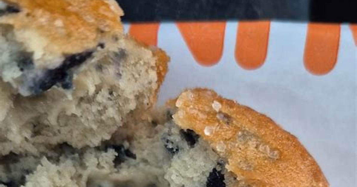 Is Dunkin S Blueberry Muffin Dairy Free or Vegan the Definitive