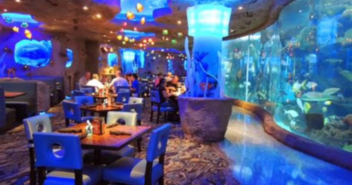 Is Houston S Aquarium Restaurant Worth the Hype Dissecting Yelp S