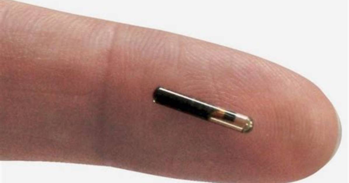 Is Human Microchipping Safe Fact Checking Burgundy Caldwell Waller S