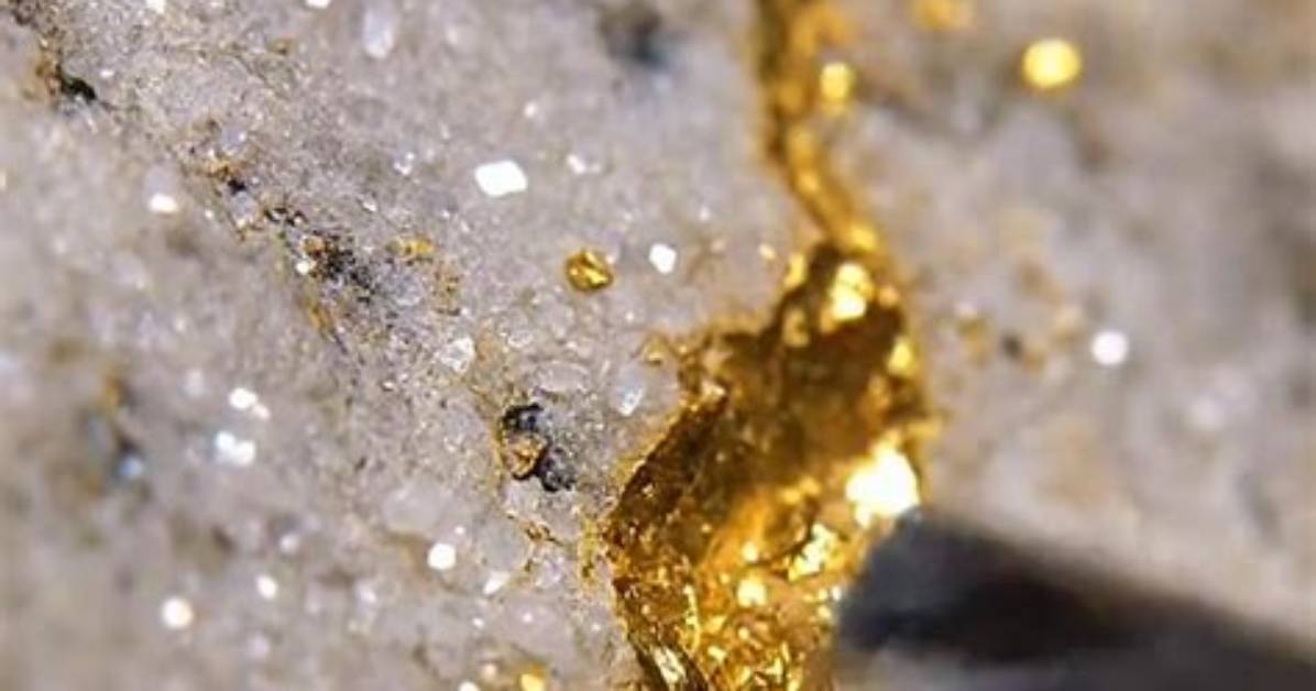 Is It Real Gold Inside the Wild Tests Exposing Plated Fakes and 9 700 Pop