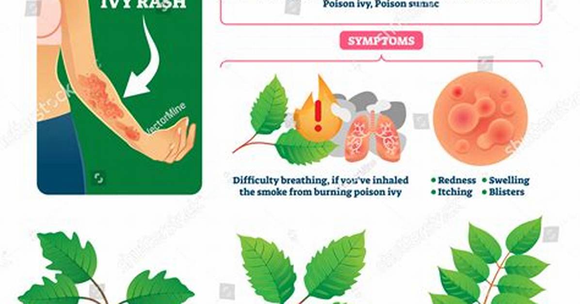 Is It Really Poison Ivy in Your Grass Visual Guide to Spotting The