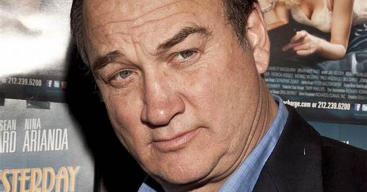 Is Jim Belushi Sick the Real Reason Fans Are Searching His