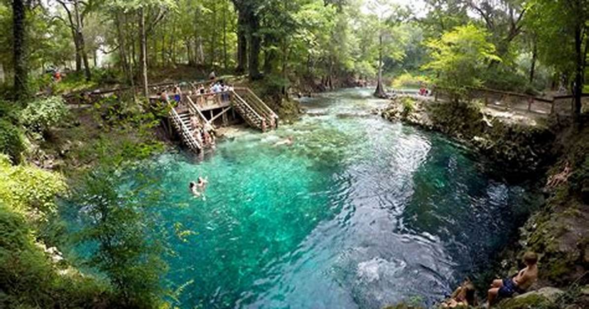 Is Madison Blue Spring Truly Florida S Best Kept Swimming