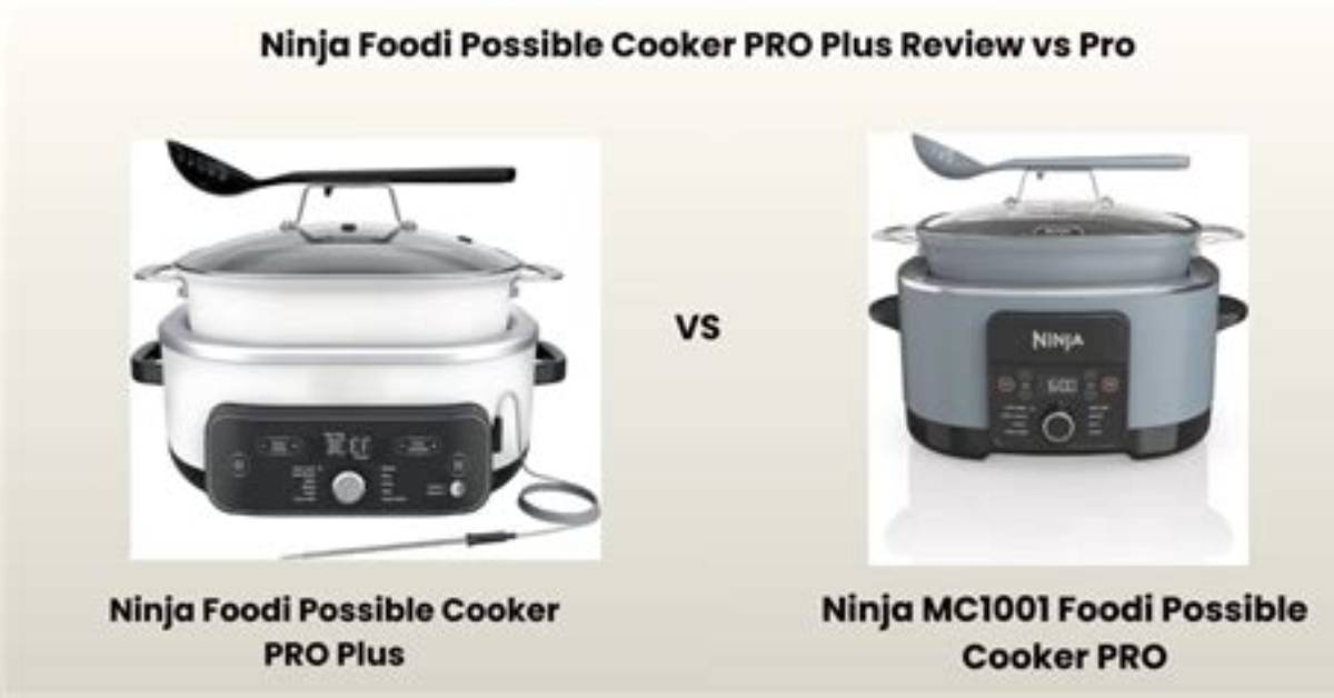 Is Ninja S Dedicated Rice Setting Actually Flawless Fact Checking Brown Jasmine And