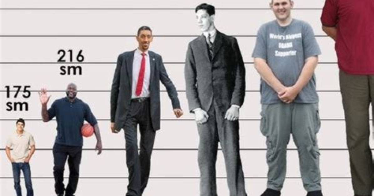 Is Plaqueboymax Actually 6 Feet Tall Fact Checking His Viral