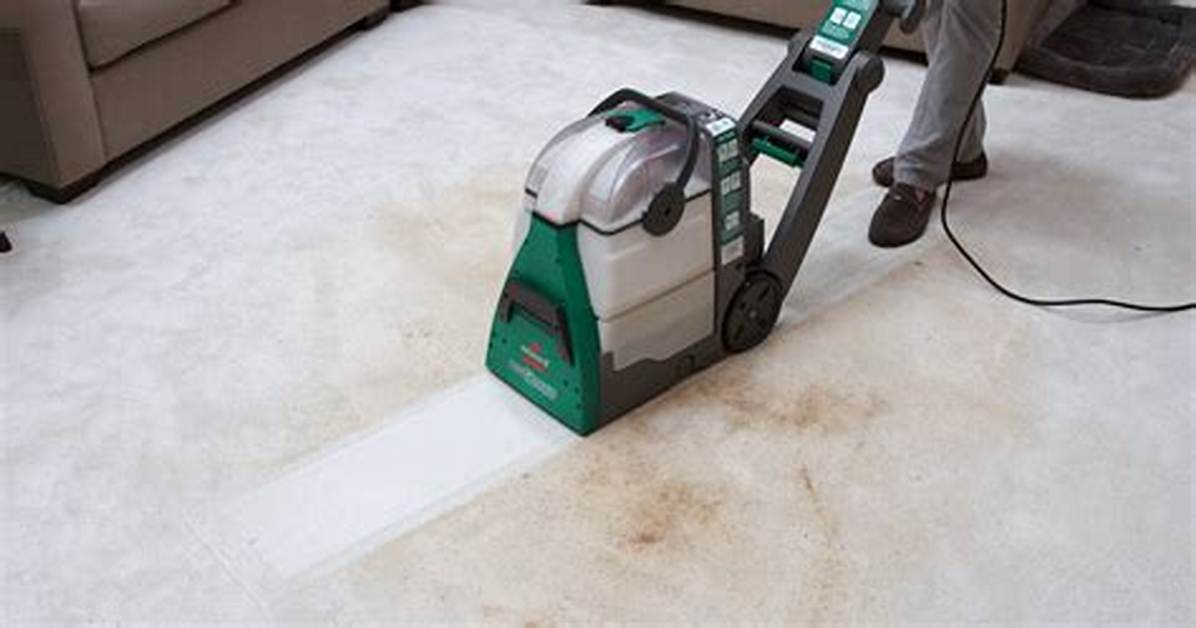 Is Renting a Carpet Cleaner from Home Depot Worth It the Real